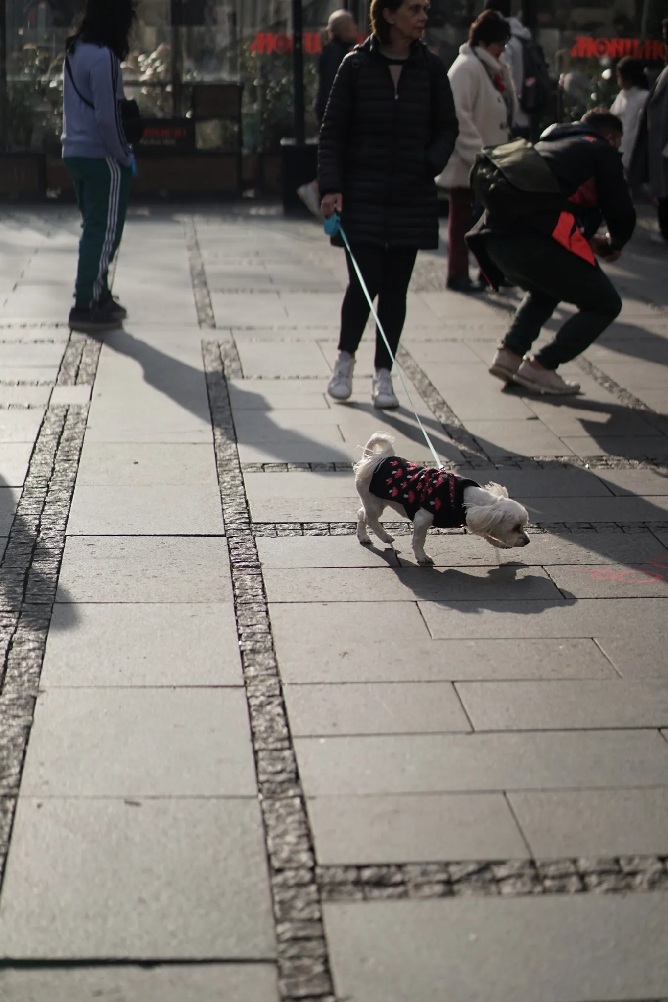 Cold Light, photograph 11 — Serbia, 2026